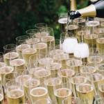 Sekt-Glas "Klassisch" (40St.)